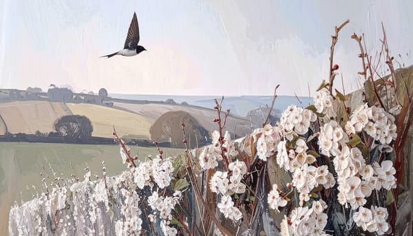 Cornwall’s Living Almanac: Reading the Landscape in a Changing Climate