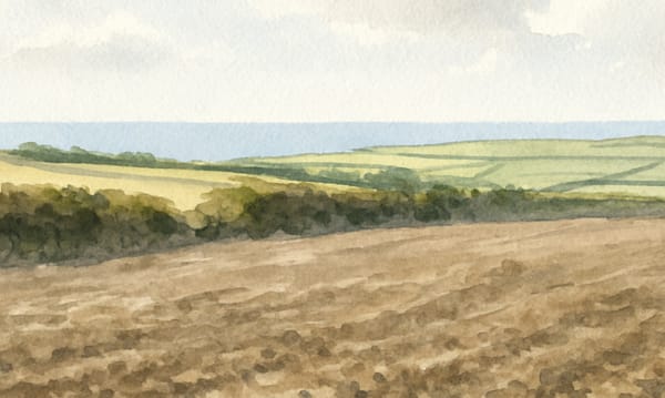 Spiritual Soil: How Cornwallʼs Gardeners Find Meaning Beneath Their Feet