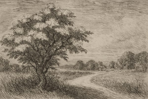 The Elder: Cornwall’s Keeper of Thresholds and Traditions