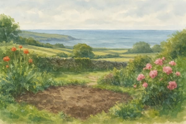 The Quiet Revolution Beneath Our Feet: No-Dig Gardening in Cornwall